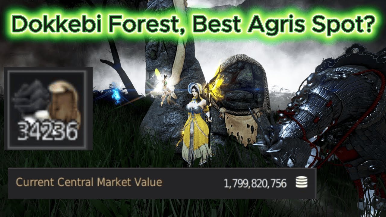 Dokkebi Forest, Best Agris Spot? 🪄 Witch Succession 🪄