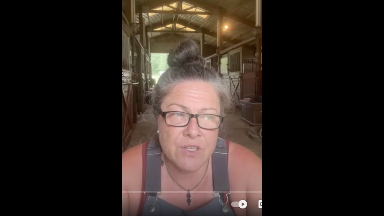 Лошадь погибла после обрушения пола трейлера во время переезда фермы