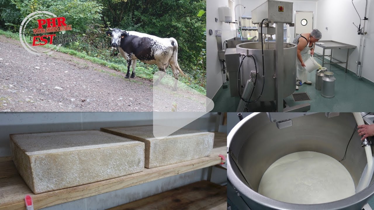 Nouvelle fromagerie à la ferme Holschlag 2