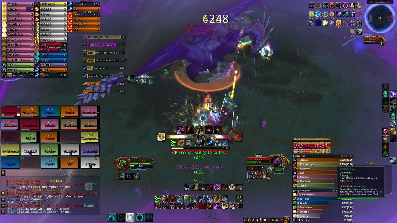 WARMANE-WOTLK-RS25 HC FERAL CAT(POV) ---WITH SHADES---