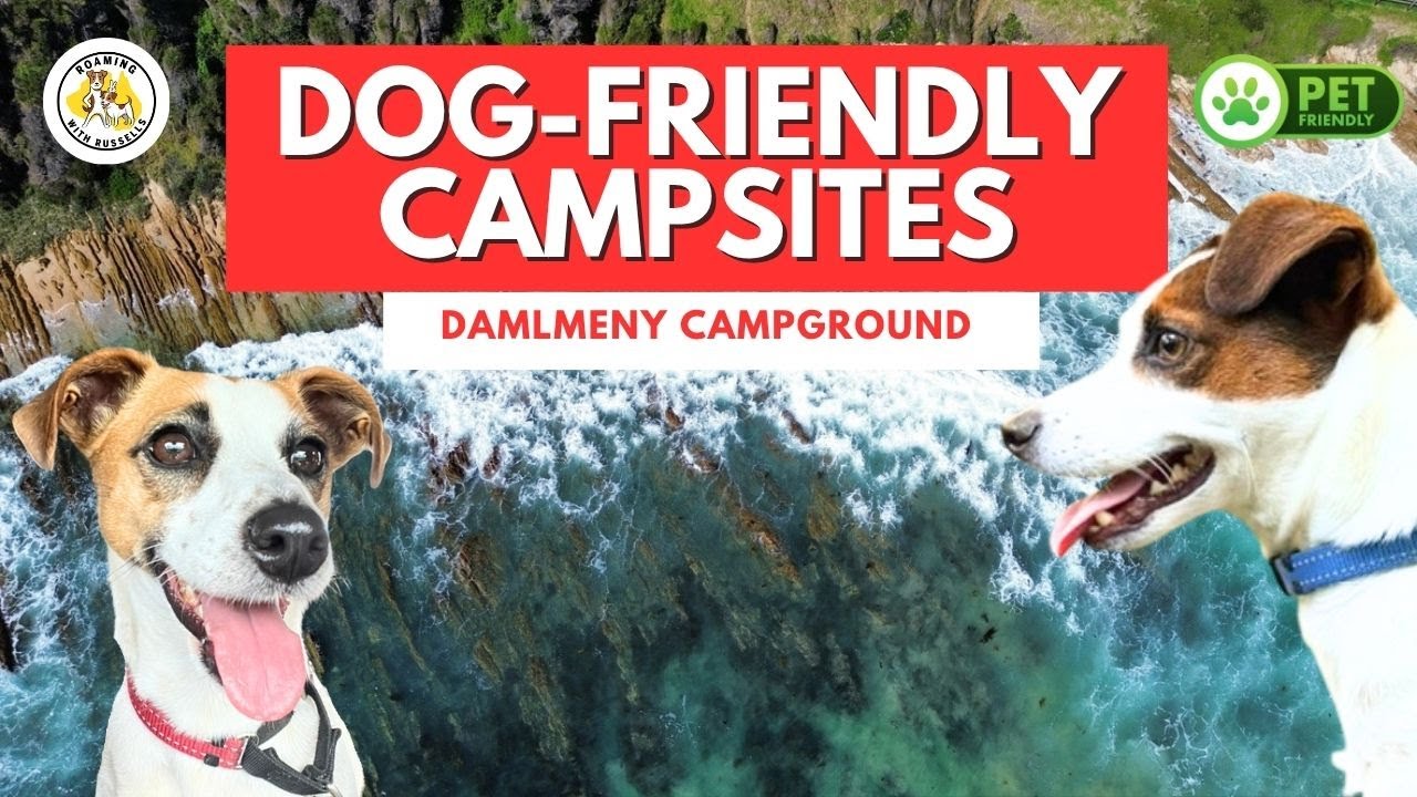 Dalmeny Campground Tour &ndash; Beachfront Camping on the NSW South Coast! ⛺🌊