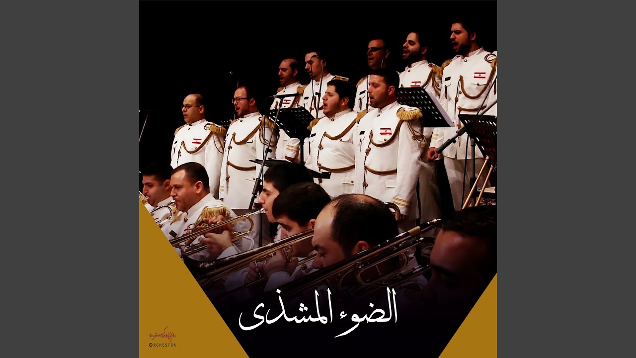الضوء المشذى