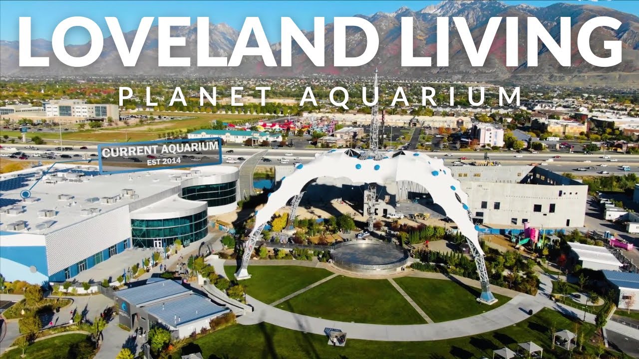 Чем заняться в Юте | Аквариум Loveland Living Planet в Дрейпере, штат Юта