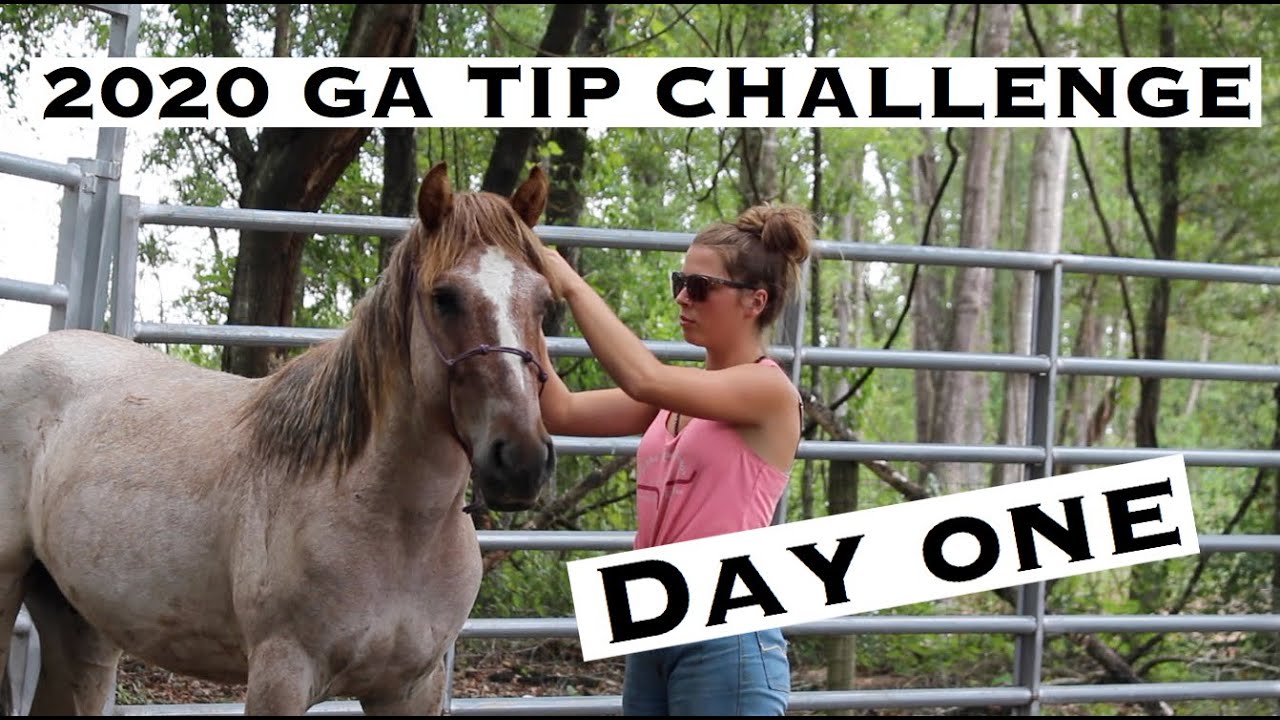 Первый день с моим новым диким Мустангом | Соревнования Georgia TIP Challenge 2020