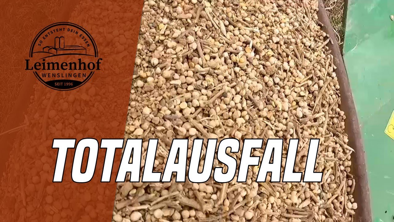 Natur und Wetter entscheiden - So entsteht dein Essen #211