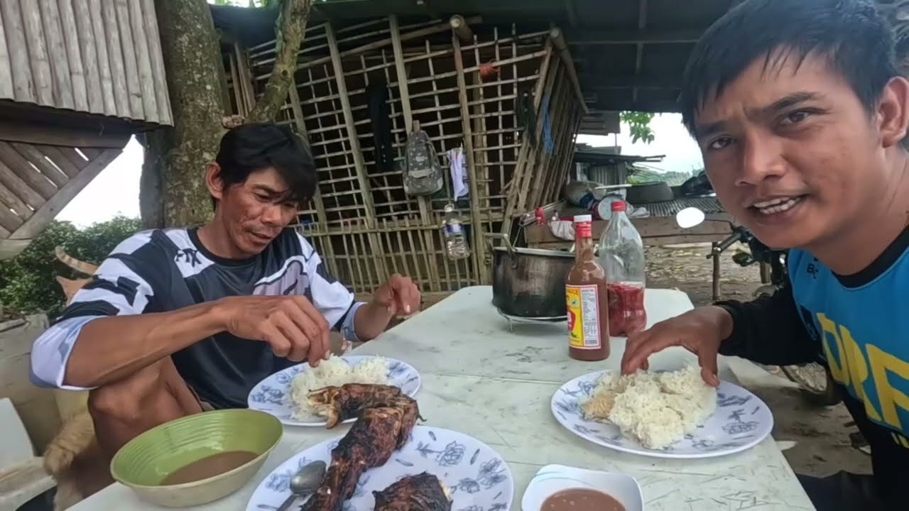 PASAHOD, HATIAN SA KITA SA GULAY, PORSYENTO AT GAMIT NA GAMOT SA KALAMANSI