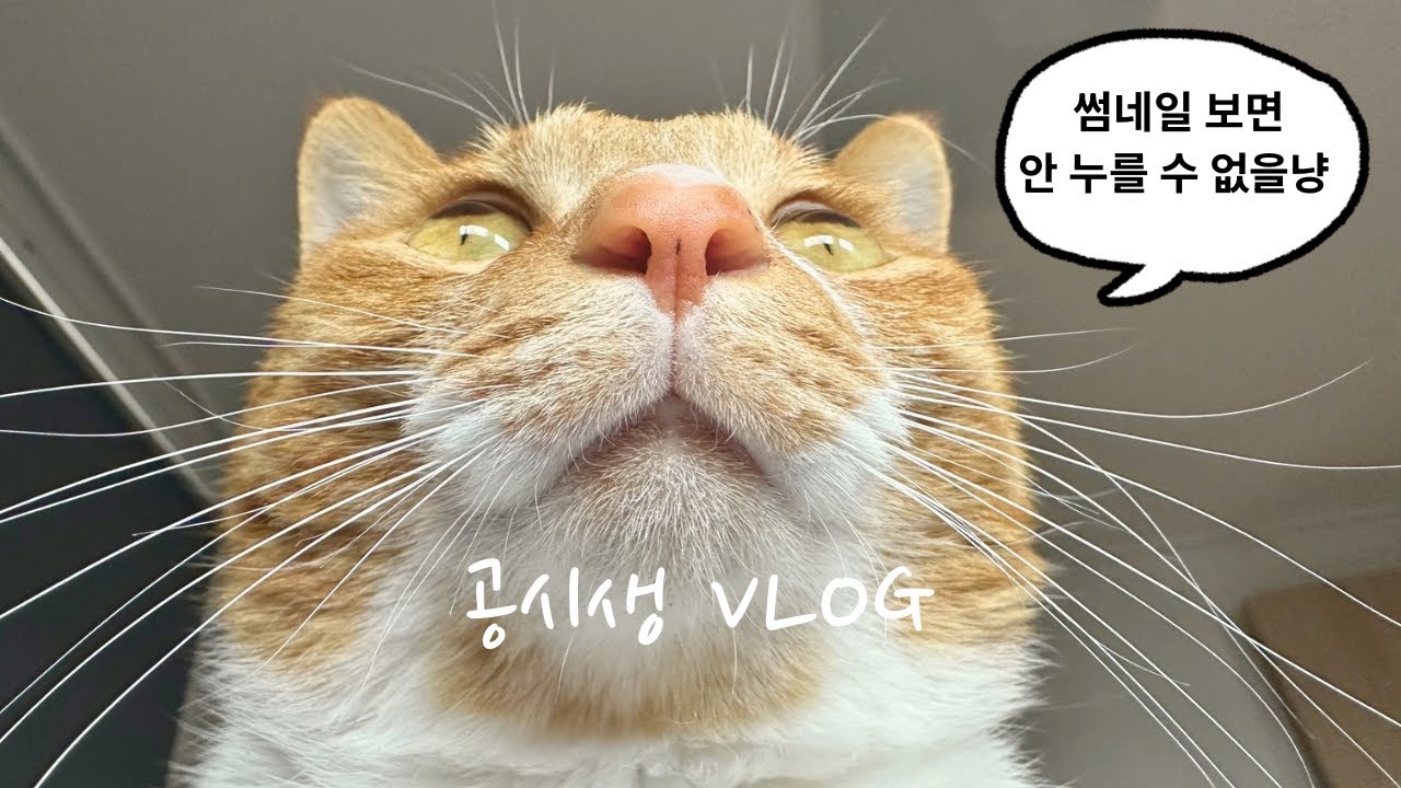 [공시생 브이로그🍀] 국가직 TO | 직렬 변경😶‍🌫️ 국가직 전 마지막 영상