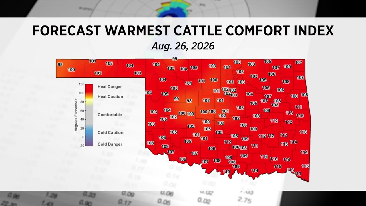 How Cattle Producers Can Use the Mesonet Cattle Comfort Index | Mesonet Weather Report