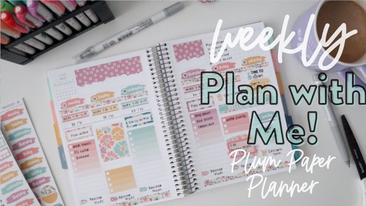 PLAN WITH ME! | Plum Paper Vertical Priorities