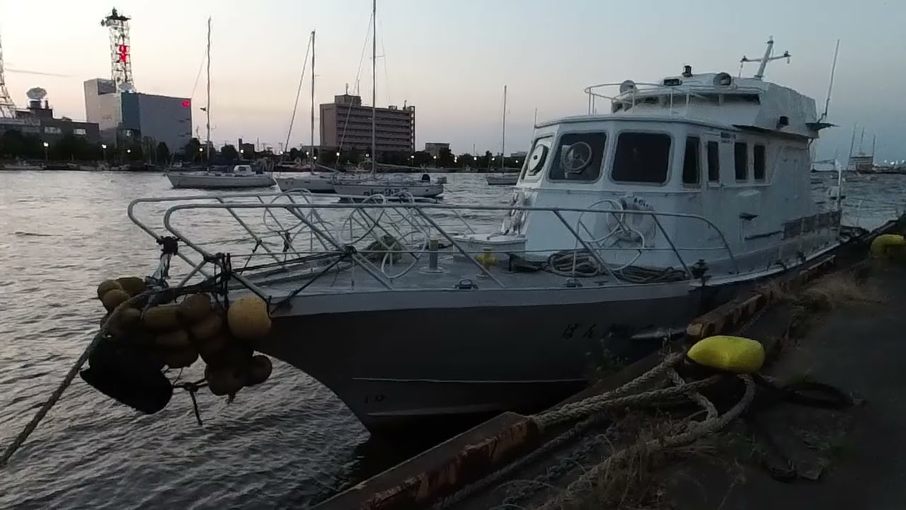 新潟県新潟市中央区万代島 / 250709 📝「信濃川の河口に浮かぶ、港町・新潟の過去と未来が交差するウォーターフロントの象徴」
