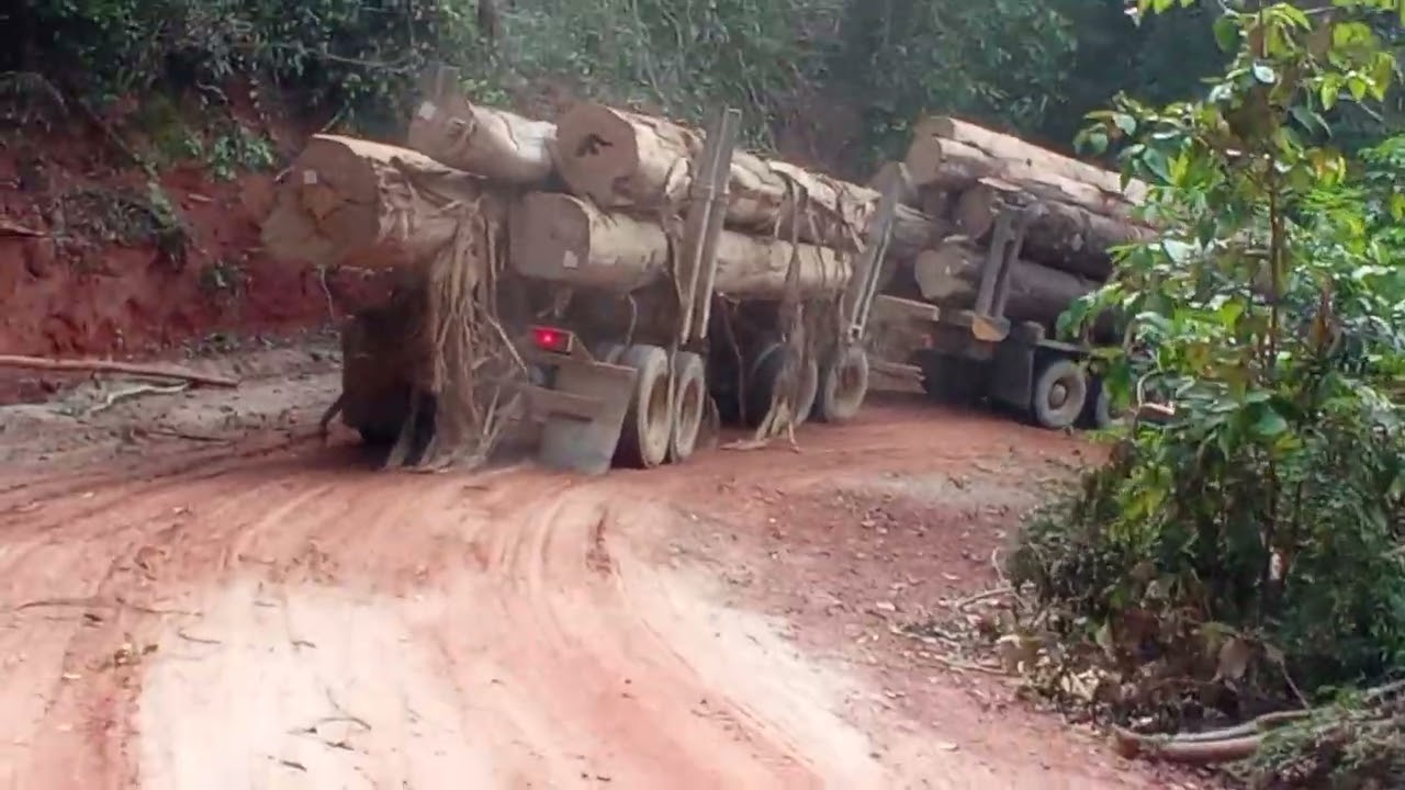 Caminhão madeireiro, quase deu ruim!