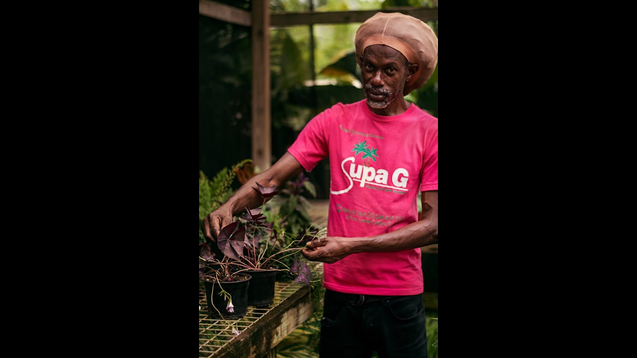 Meet The Owner- Episode 2 -Supa G Palms & Plant Nursery
