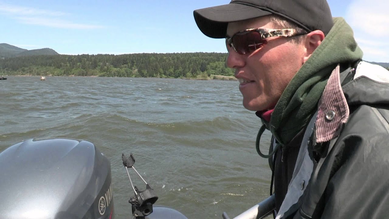Willamette River & Wind River Spring Chinook