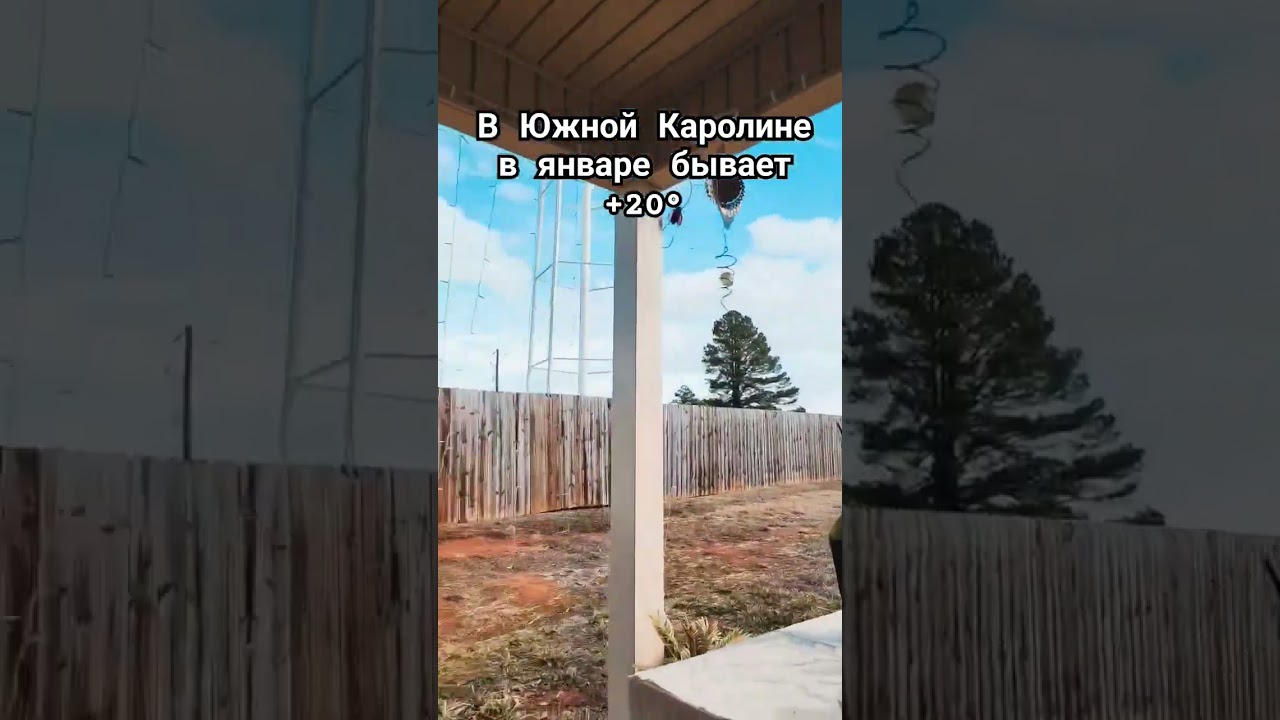 Климат в Южной Каролине лучший! #америка #сша #недвижимость #погода #жизньвсша