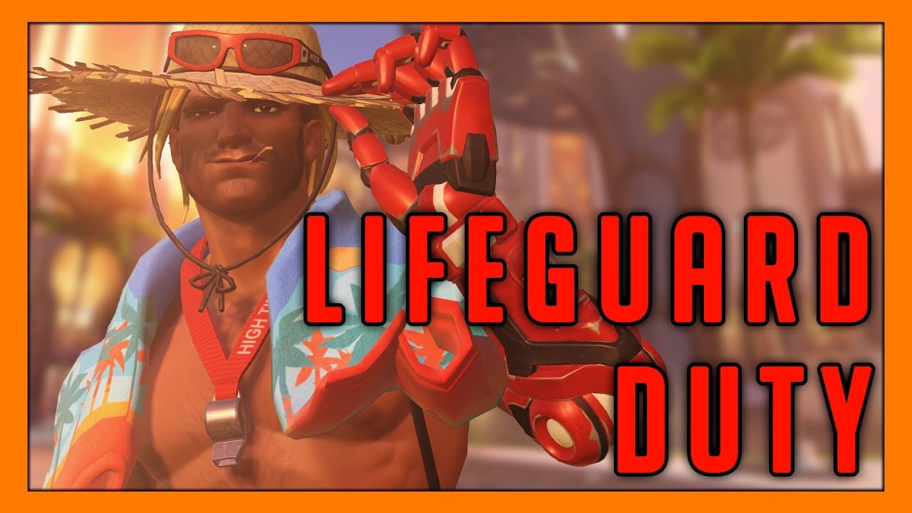 Lifeguard Seagull