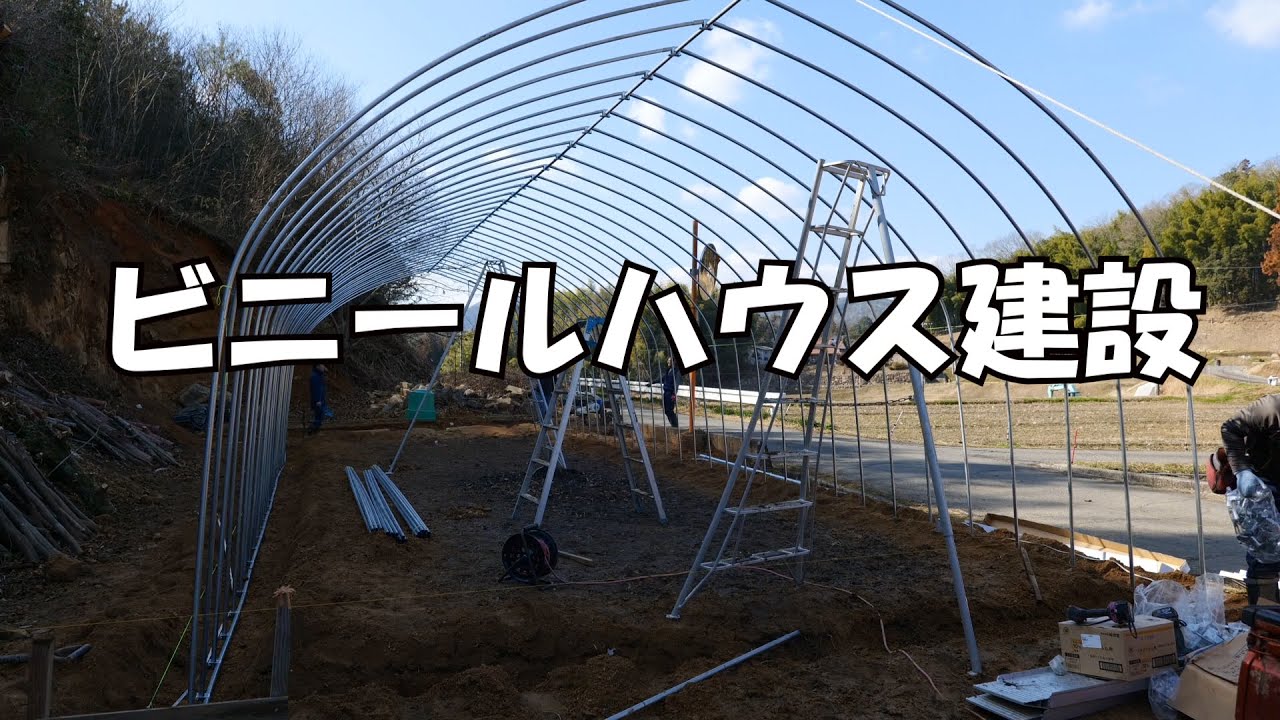 ハウス建設21/1/31＃1149