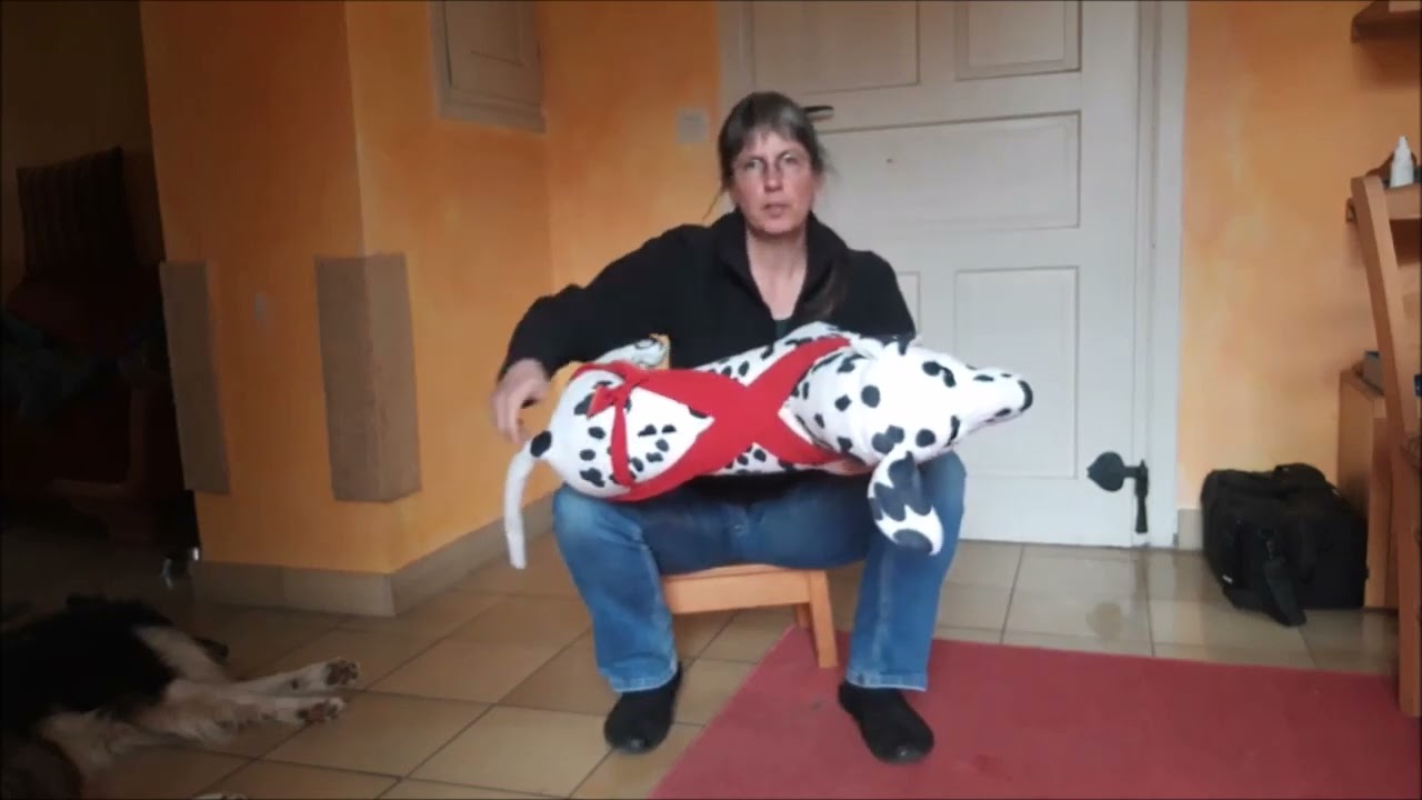 Das halbe und das ganze Tellington Körperband