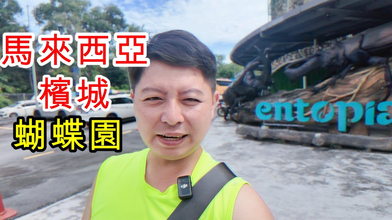 馬來西亞檳城蝴蝶園!很多種類的蝴蝶自由飛翔,也有展覽館!  #馬來西亞  #檳城 #蝴蝶園 #旅遊