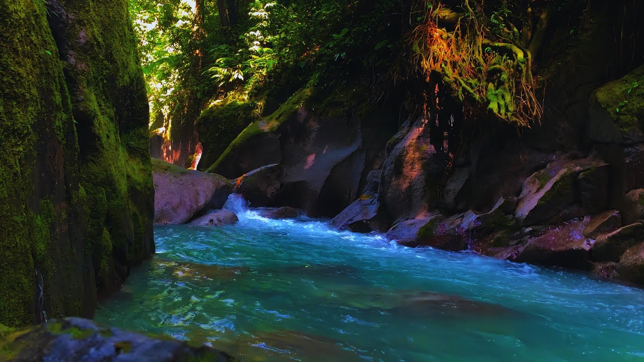 Your New Sleep Routine Starts Here – Relaxing River Flow & Morning Birds Singing, White Noise