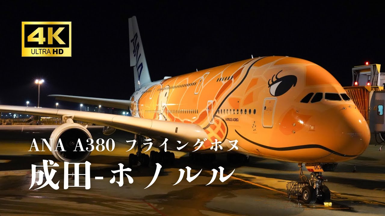 【4K機窓】ANA A380 フライングホヌ｜ホノルル空港着陸