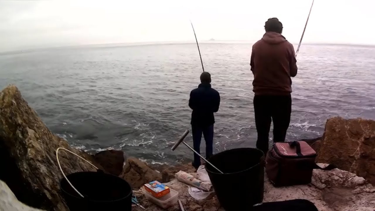 Pesca em Oeiras (Marina)