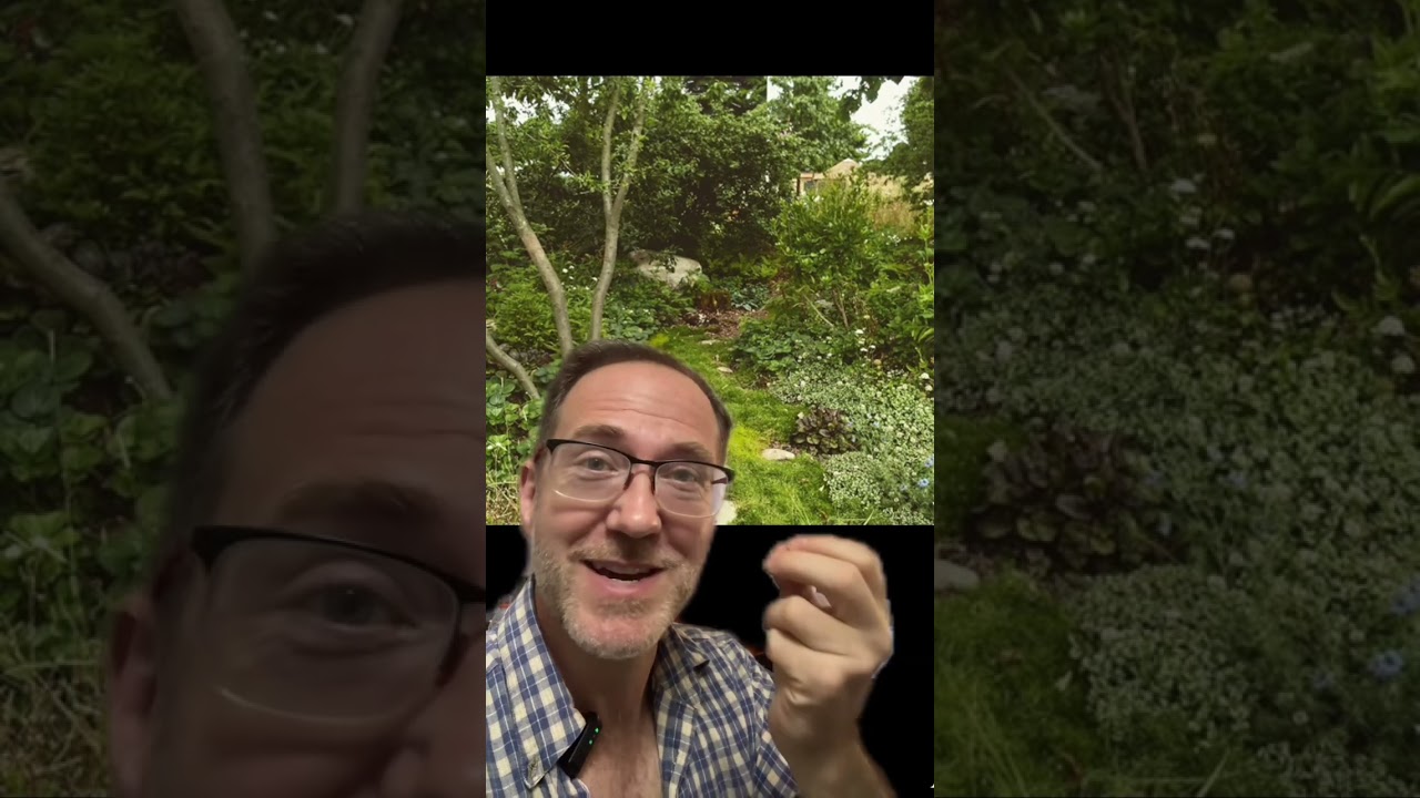Top &ldquo;WILD&rdquo; Garden and Landscaping Trends for 2024 and Beyond!