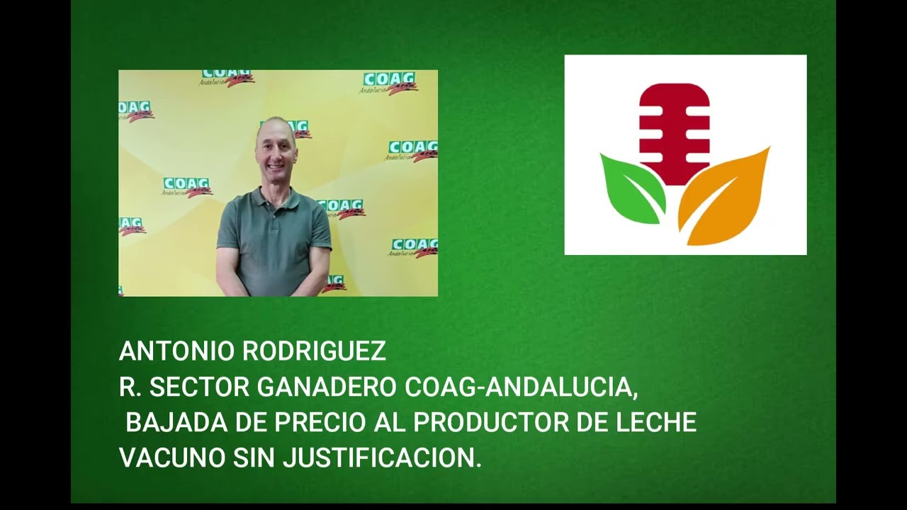 ANTONIO RODRIGUEZ R. SECTOR GANADERO COAG-ANDALUCIA, BAJADA DE PRECIO AL PRODUCTOR DE LECHE VACUNO .