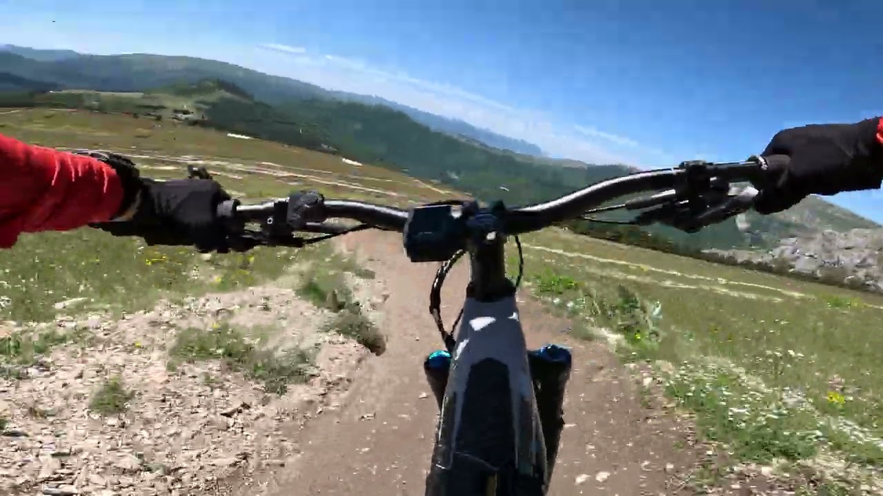 Camoscio Frontigniano