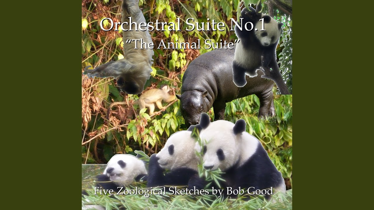 Orchestral Suite No. 1 "The Animal Suite": No. 5, An Embarrassment Of Pandas