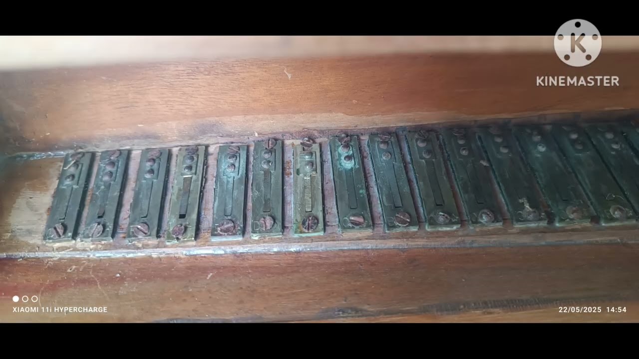 (199)old valukad m j mistry bhavnagar type mel mel 44 reed sold out 7016829118 sold out 