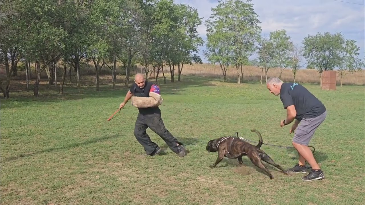 Születésnapi (55) Boxeres tréning. 2025.09.13