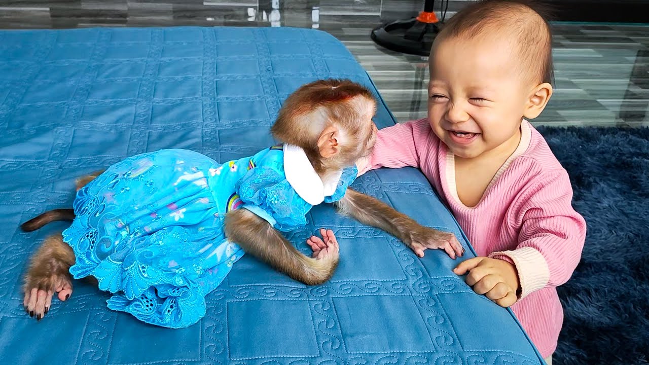 Collection of super cute and funny videos of Monkey Kaka and Diem