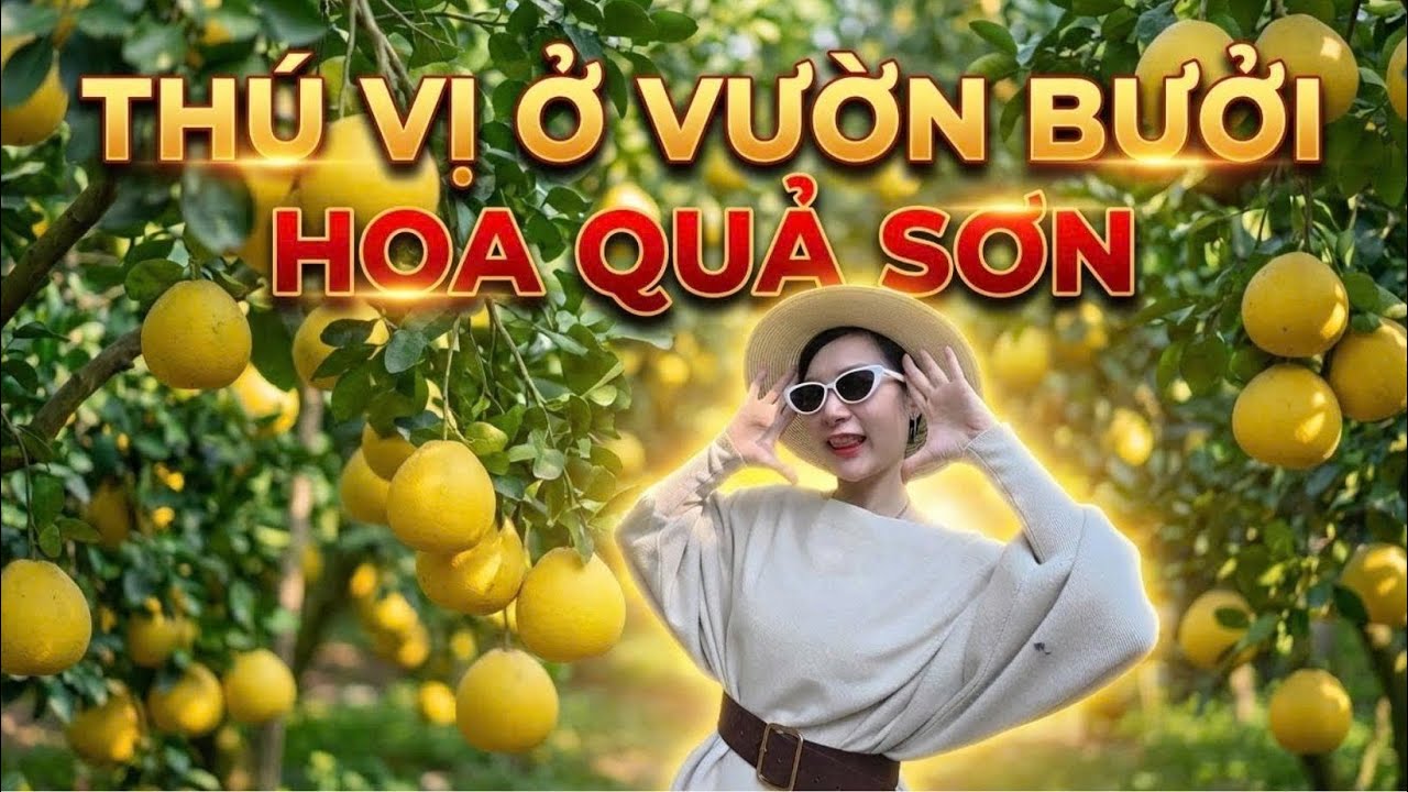 Chuyến đi gia đình đến VƯỜN BƯỞI Hoa Quả Sơn – bình yên đến lạ