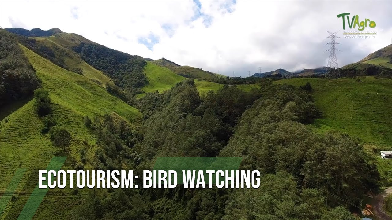 Ecotourism: BIRD WATCHING