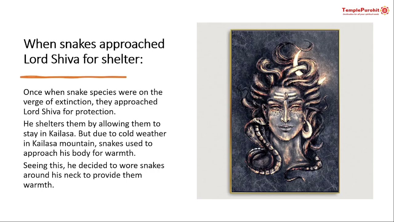 Why does Lord Shiva wear Vasuki around his neck?