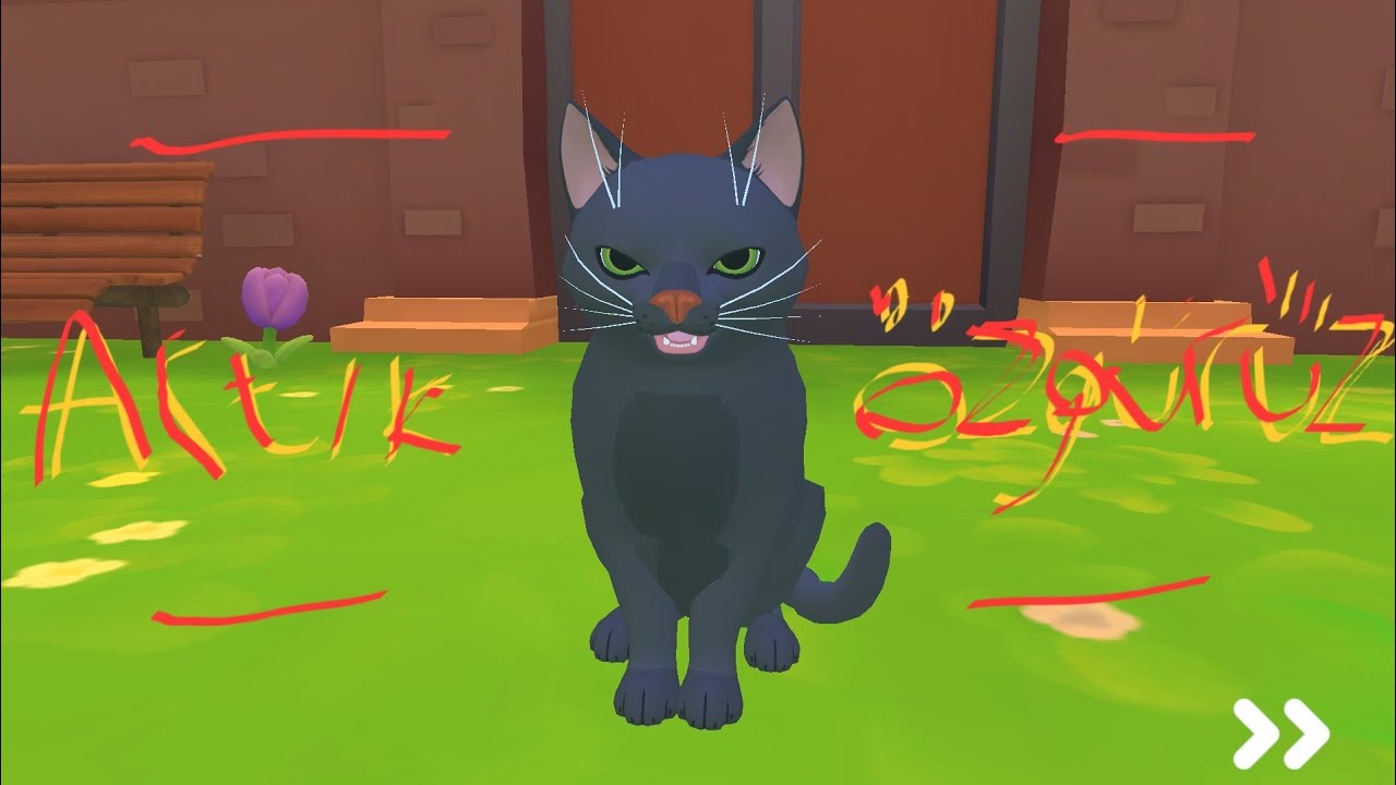 KEDİ OLUP ÖZGÜRLÜĞE KAVUŞTUM 🥳