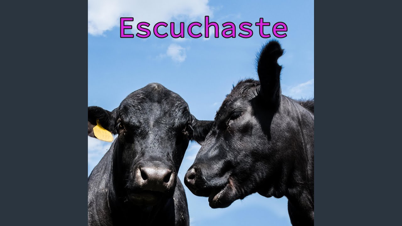 ESCUCHASTE?