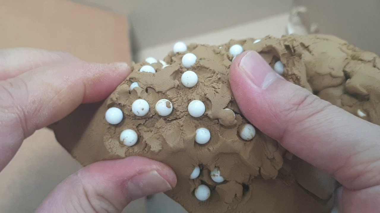 찰흙에 비비탄 망고벌레가(mangoworms in clay)