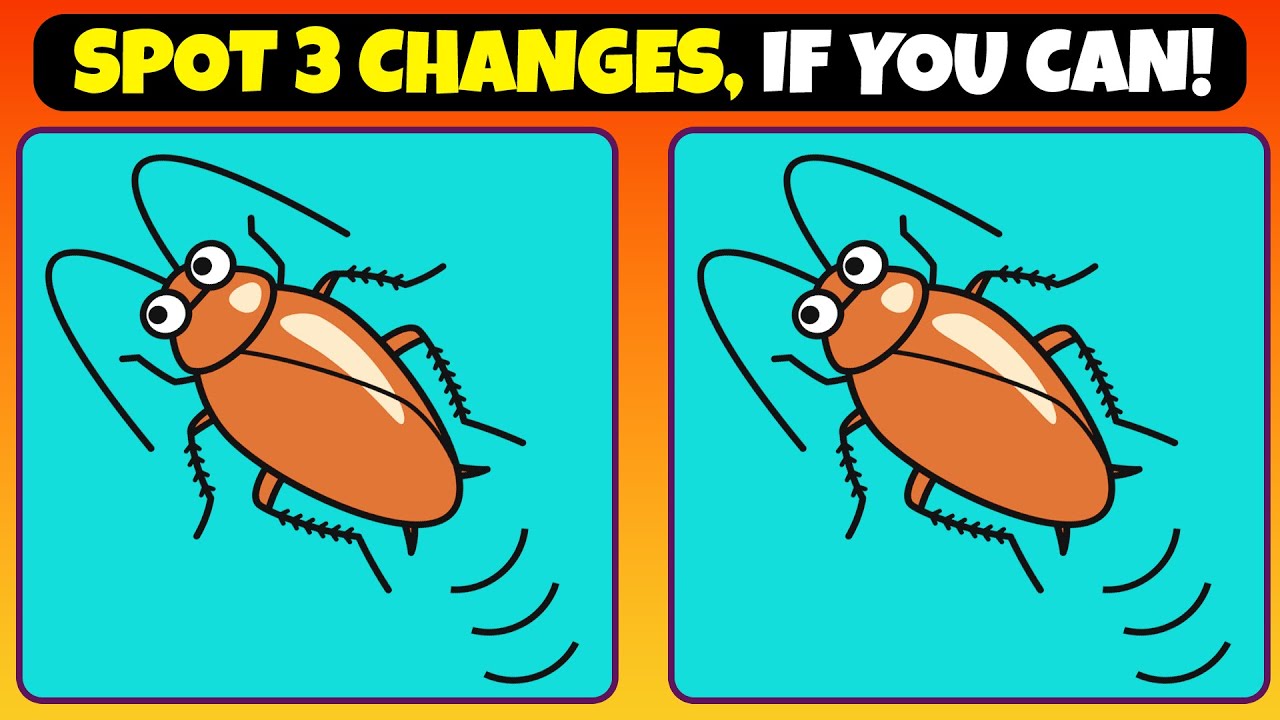 SPOT 3 CHANGES, IF YOU CAN! | Find 3 Differences👀💥