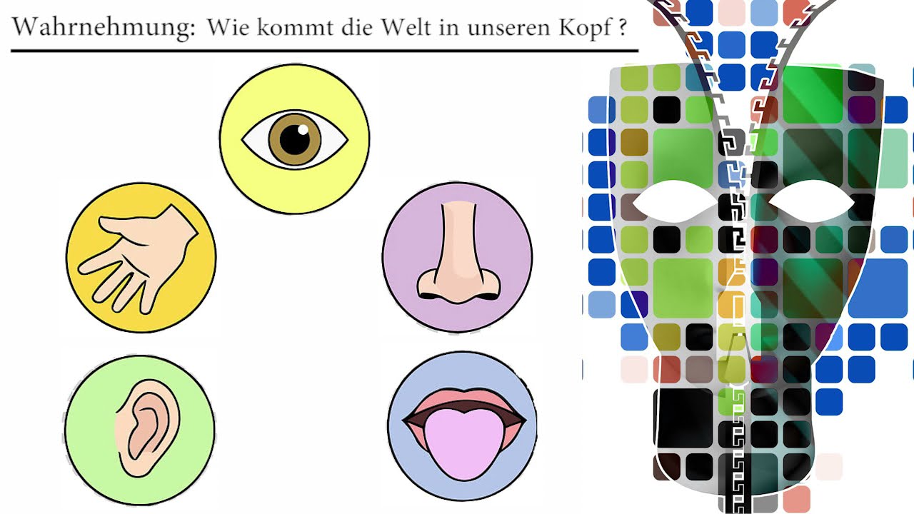Wahrnehmung: Wie kommt die Welt in unseren Kopf?