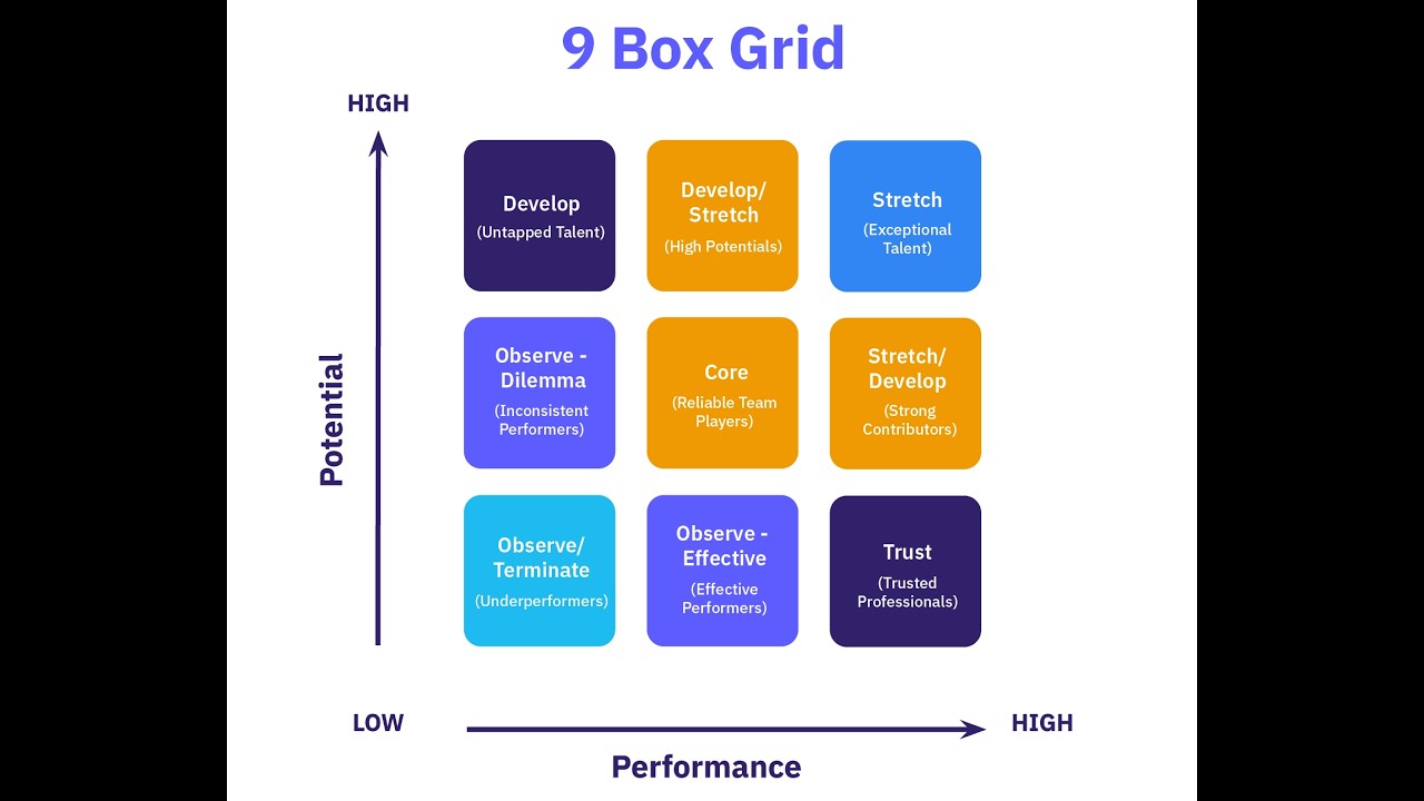 Perfect HR 9Box Appraisal AI Voice Tutorial from Daffodil Software Limited