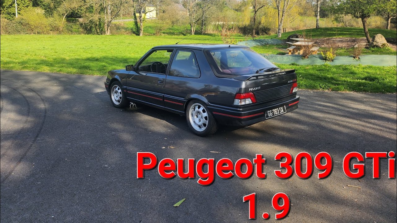 Peugeot 309 Gti 1.9 130ch