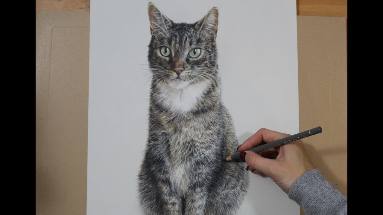 Colored Pencil Drawing: Cat - Speed Draw | JosYMovieS