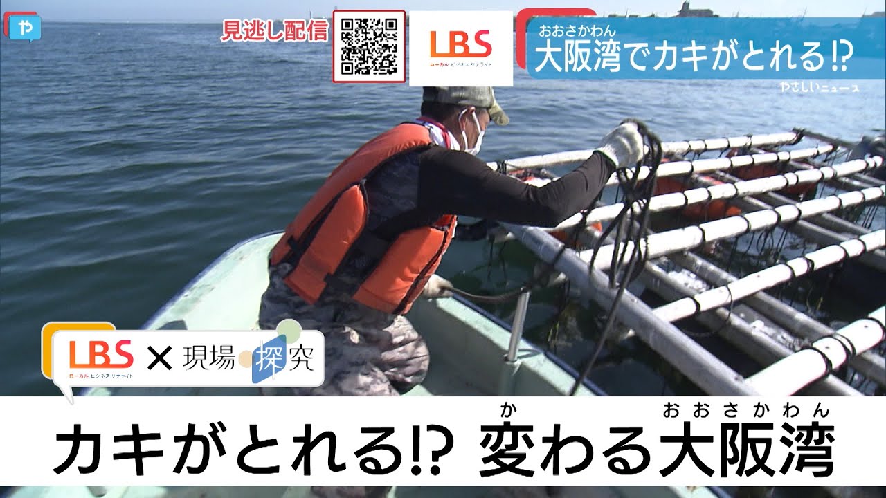 大阪でカキがとれる！？変わりゆく大阪湾を取材＜LBS×現場探究＞