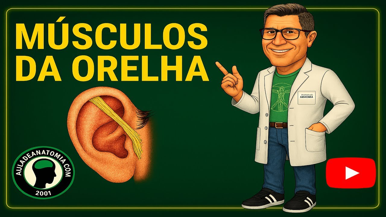 MÚSCULOS DA ORELHA