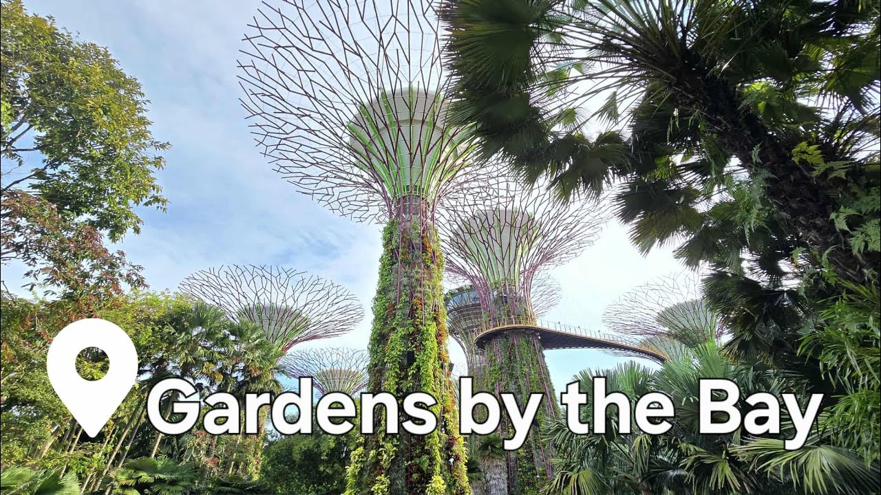 Gardens by the Bay Walk | Singapore Iconic Garden