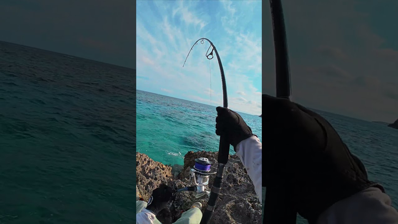🔥 Master the Art of Summoning & Catching MONSTER Fish!
