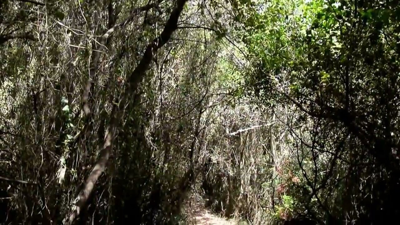 The ancient tomb and the gorge of peristeria - Messinia