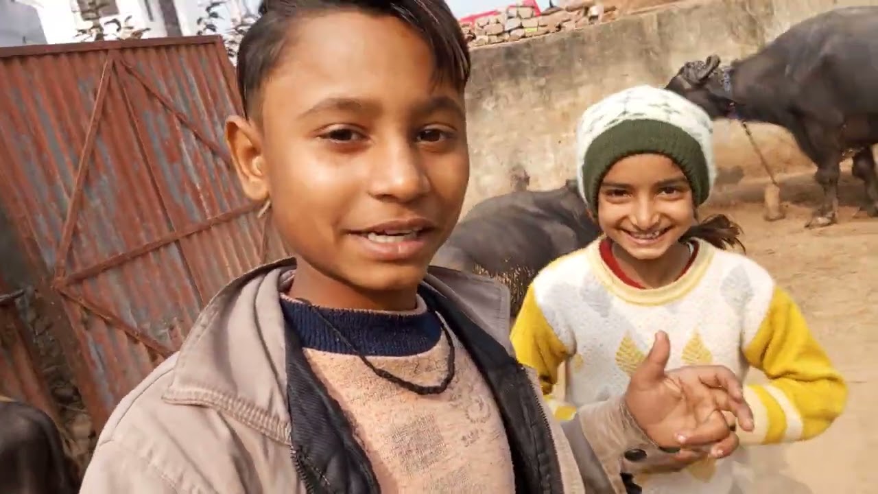 NEW BLOG  #new#funnyvideo 