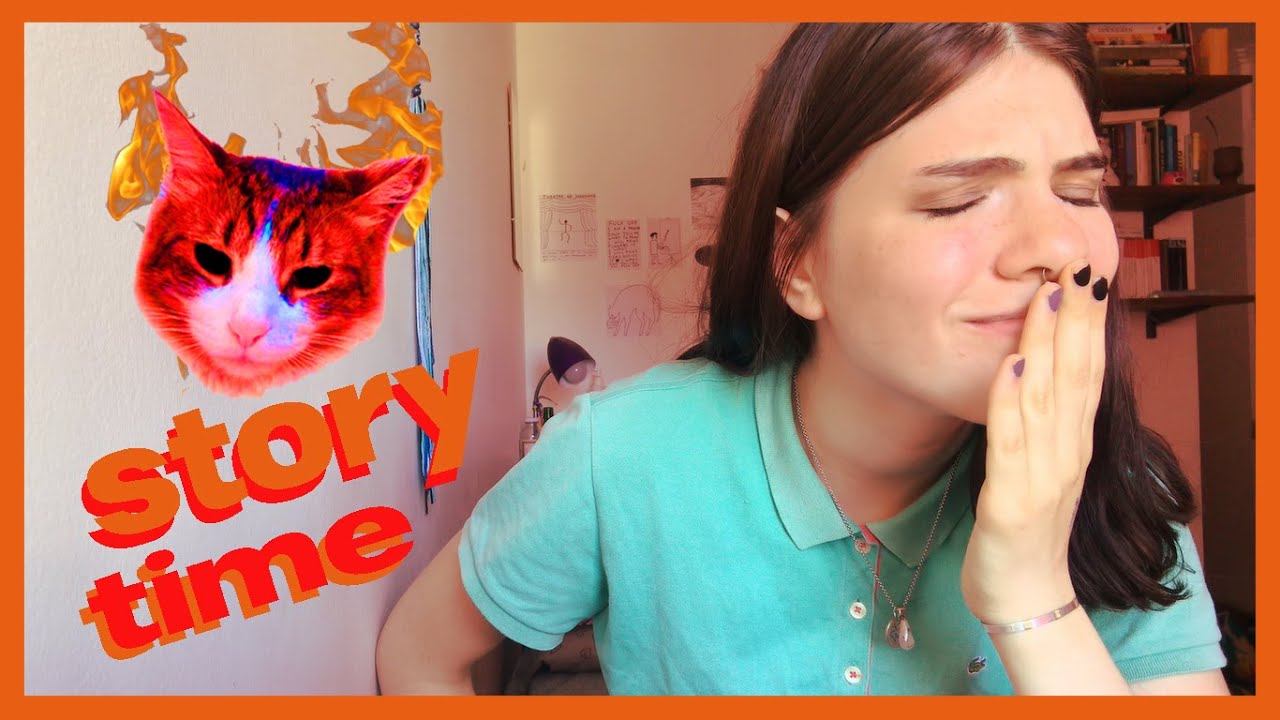 UN GATO INTENTÓ MATARME